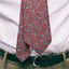 Red Tossed Paisley Tie