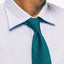 Green Tonal Neat Tie
