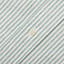 Green Stripe Oxford