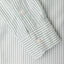 Green Stripe Oxford