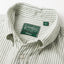 Green Stripe Brushed Fall Oxford