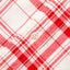 Red Archive Dishtowel Check