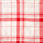 Red Archive Dishtowel Check