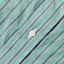 Green Awning Stripe