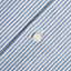 Blue Stripe Linen Camp Shirt