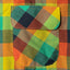 Checker Madras Camp Shirt