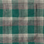Green Brushed Winter Madras